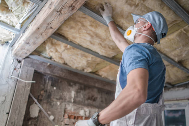 Best Fiberglass Insulation in Biloxi, MS
