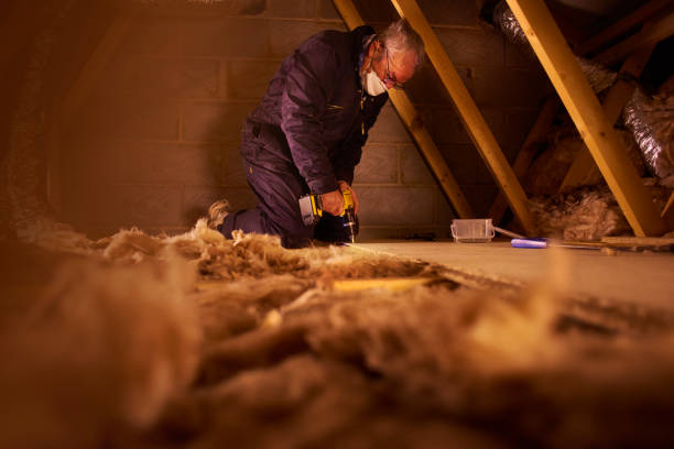 Best Insulation Maintenance and Repair in Biloxi, MS